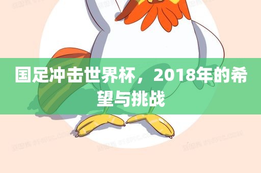 国足冲击世界杯，2018年的希望与挑战