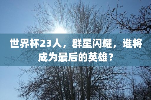 世界杯23人，群星闪耀，谁将成为最后的英雄？