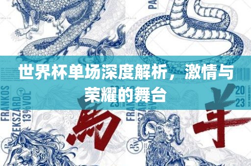 世界杯单场深度解析，激情与荣耀的舞台