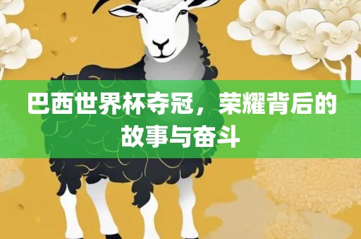 巴西世界杯夺冠，荣耀背后的故事与奋斗