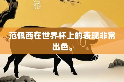 范佩西在世界杯上的表现非常出色。