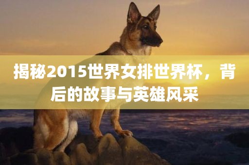 揭秘2015世界女排世界杯，背后的故事与英雄风采