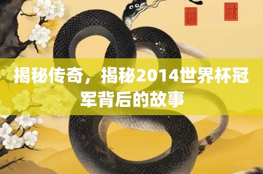揭秘传奇，揭秘2014世界杯冠军背后的故事