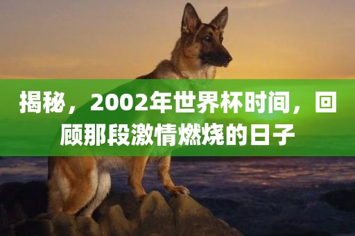 揭秘，2002年世界杯时间，回顾那段激情燃烧的日子