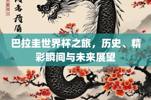 巴拉圭世界杯之旅，历史、精彩瞬间与未来展望