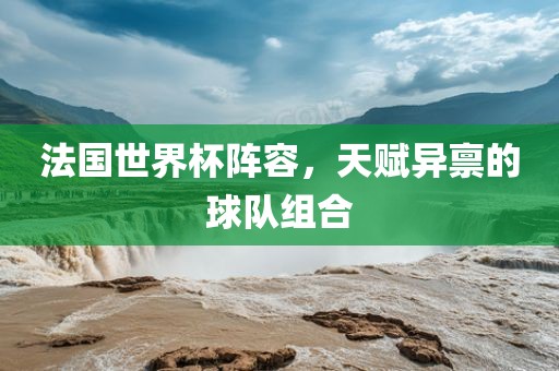 法国世界杯阵容，天赋异禀的球队组合