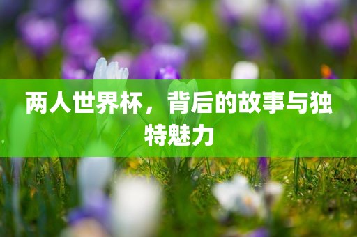 两人世界杯，背后的故事与独特魅力
