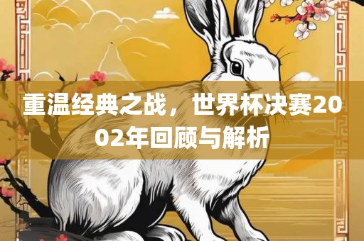 重温经典之战，世界杯决赛2002年回顾与解析