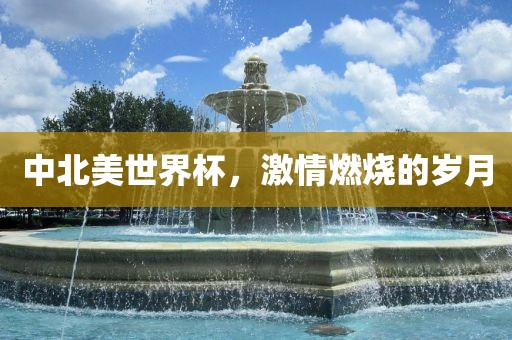 中北美世界杯，激情燃烧的岁月