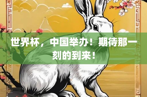 世界杯，中国举办！期待那一刻的到来！