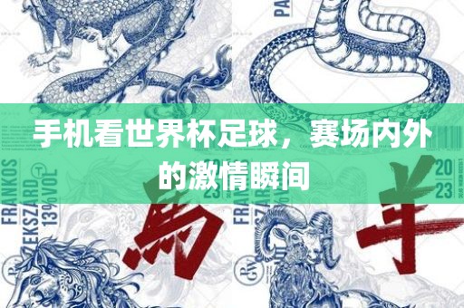 手机看世界杯足球，赛场内外的激情瞬间