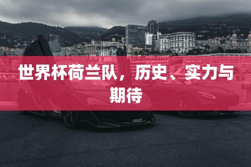 世界杯荷兰队，历史、实力与期待