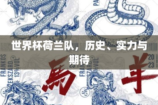 世界杯荷兰队，历史、实力与期待