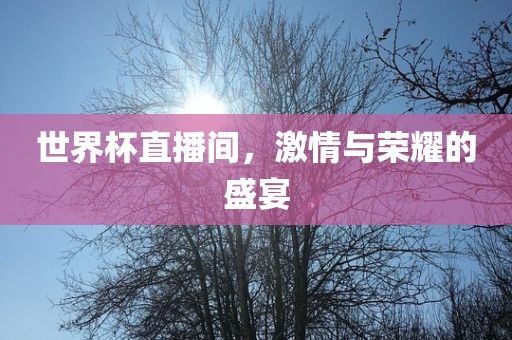 世界杯直播间，激情与荣耀的盛宴