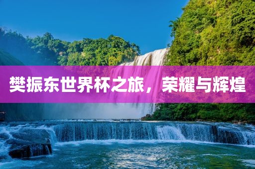 樊振东世界杯之旅，荣耀与辉煌