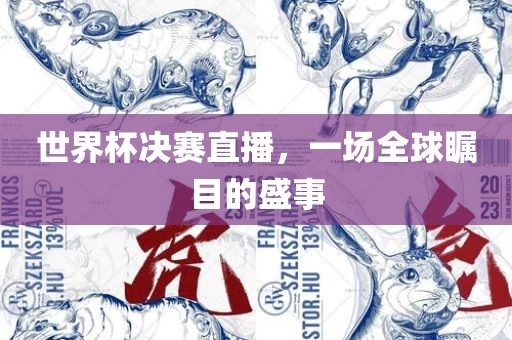 世界杯决赛直播，一场全球瞩目的盛事