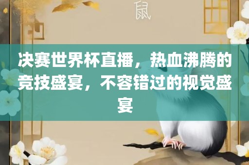 决赛世界杯直播，热血沸腾的竞技盛宴，不容错过的视觉盛宴