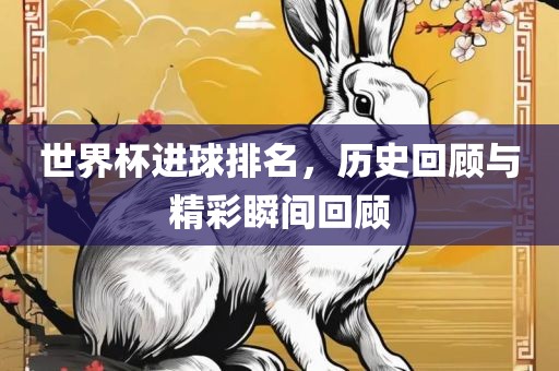 世界杯进球排名，历史回顾与精彩瞬间回顾
