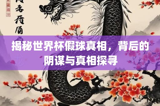 揭秘世界杯假球真相，背后的阴谋与真相探寻