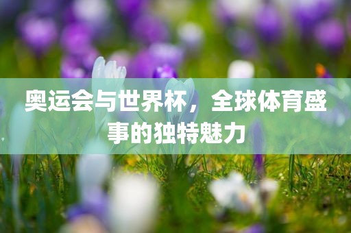 奥运会与世界杯，全球体育盛事的独特魅力