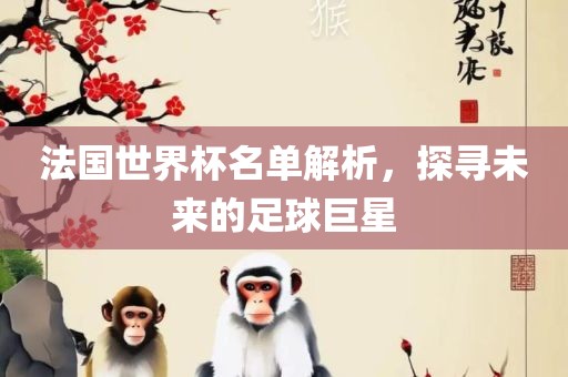 法国世界杯名单解析，探寻未来的足球巨星