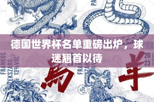 德国世界杯名单重磅出炉，球迷翘首以待