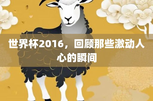 世界杯2016，回顾那些激动人心的瞬间