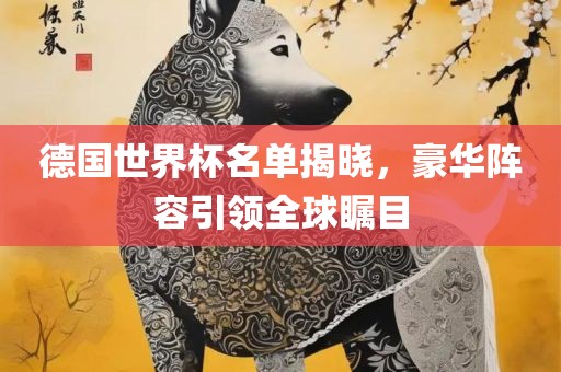 德国世界杯名单揭晓，豪华阵容引领全球瞩目