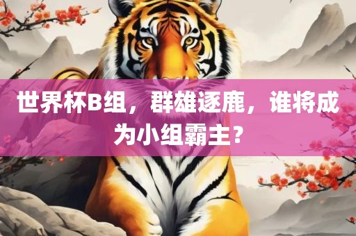 世界杯B组，群雄逐鹿，谁将成为小组霸主？