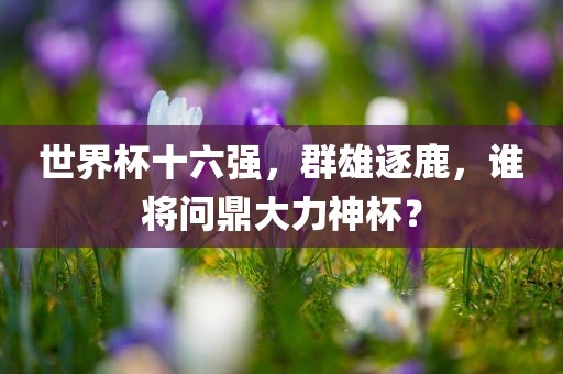 世界杯十六强，群雄逐鹿，谁将问鼎大力神杯？