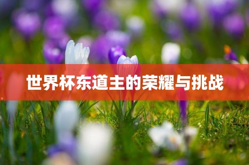 世界杯东道主的荣耀与挑战