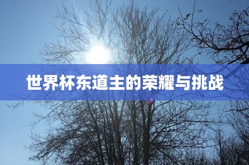 世界杯东道主的荣耀与挑战
