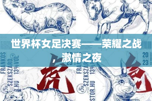 世界杯女足决赛——荣耀之战，激情之夜