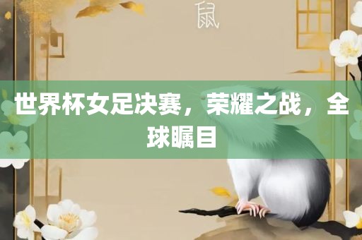 世界杯女足决赛，荣耀之战，全球瞩目