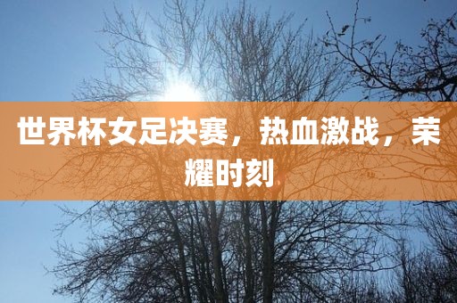 世界杯女足决赛，热血激战，荣耀时刻