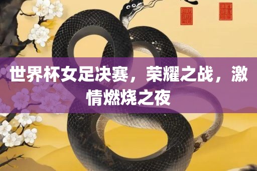 世界杯女足决赛，荣耀之战，激情燃烧之夜