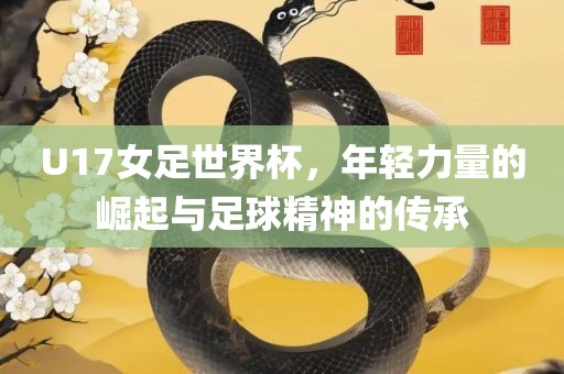 U17女足世界杯，年轻力量的崛起与足球精神的传承