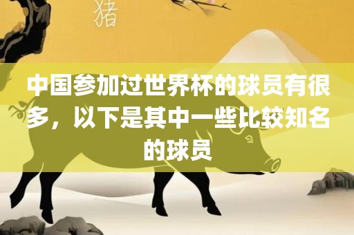 中国参加过世界杯的球员有很多，以下是其中一些比较知名的球员