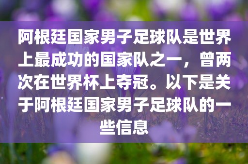 阿根廷国家男子足球队是世界上最成功的国家队之一，曾两次在世界杯上夺冠。以下是关于阿根廷国家男子足球队的一些信息