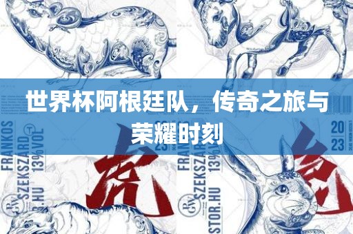 世界杯阿根廷队，传奇之旅与荣耀时刻