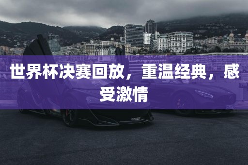 世界杯决赛回放，重温经典，感受激情