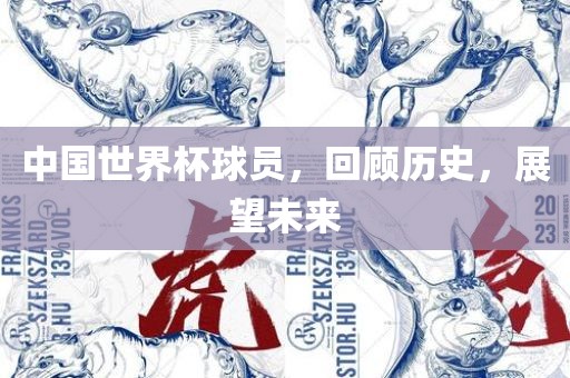 中国世界杯球员，回顾历史，展望未来
