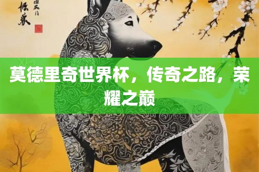 莫德里奇世界杯，传奇之路，荣耀之巅