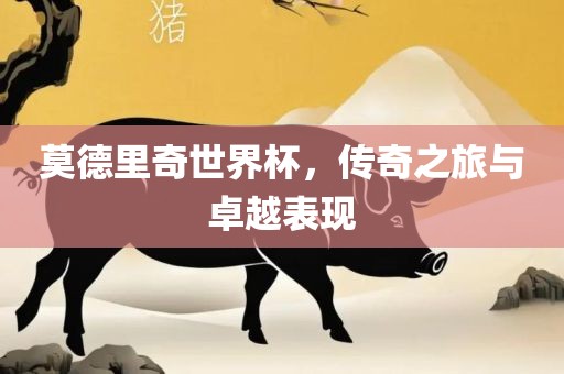 莫德里奇世界杯，传奇之旅与卓越表现
