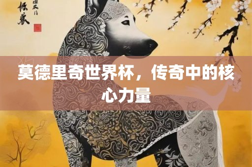 莫德里奇世界杯，传奇中的核心力量