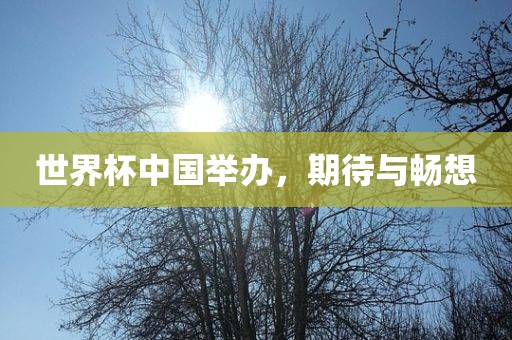 世界杯中国举办，期待与畅想
