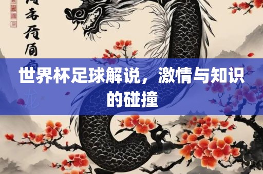 世界杯足球解说，激情与知识的碰撞