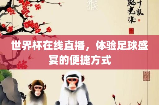 世界杯在线直播，体验足球盛宴的便捷方式