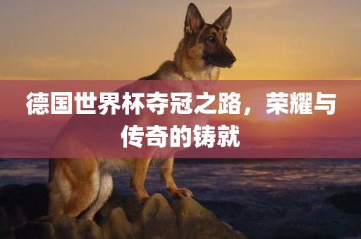 德国世界杯夺冠之路，荣耀与传奇的铸就