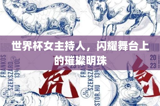 世界杯女主持人，闪耀舞台上的璀璨明珠